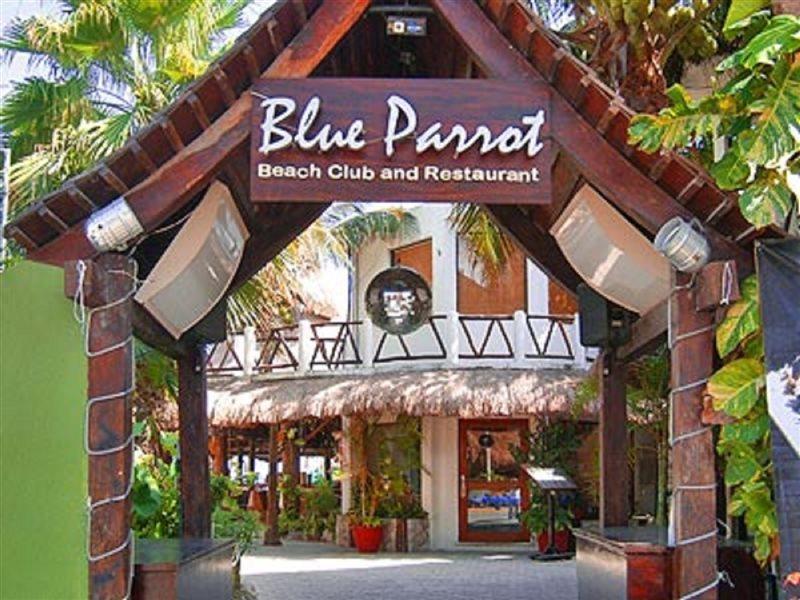 Blue Parrot Suites Плая дел Кармен Екстериор снимка