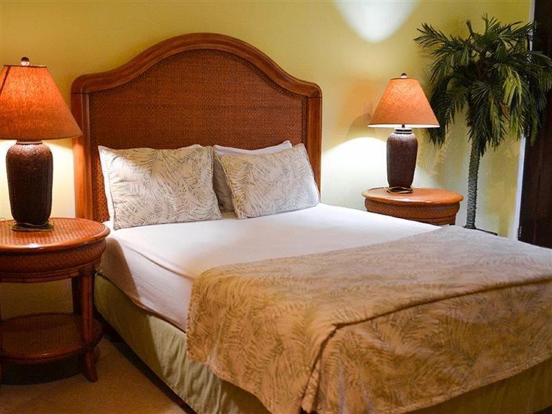 Blue Parrot Suites Плая дел Кармен Екстериор снимка