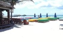 Blue Parrot Suites Плая дел Кармен Екстериор снимка
